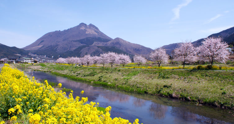 春の由布岳