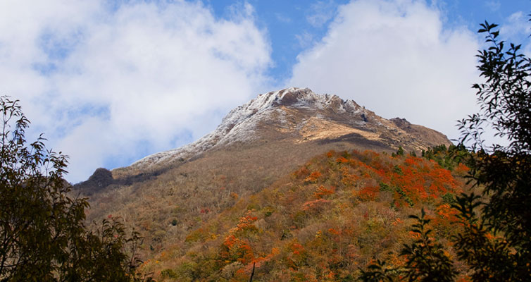 秋の由布岳