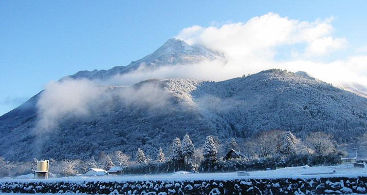 冬の由布岳